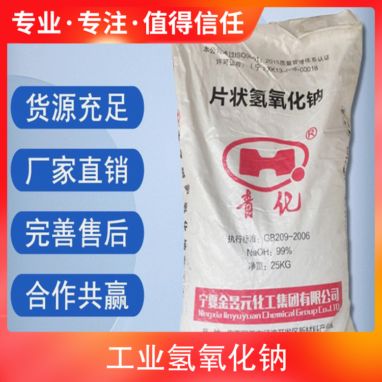 大阴茎插入狗逼里